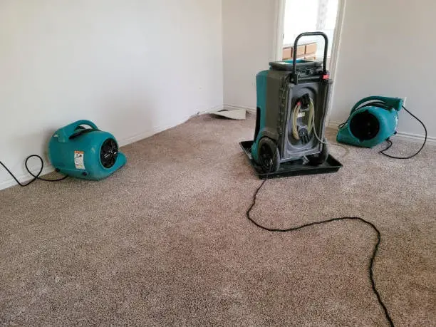 Air movers and a dehumidifier drying carpet in a Rochester bedroom